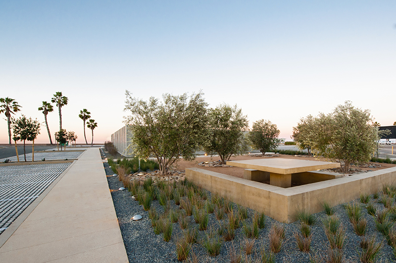 Oceanside Harbor Aquatics