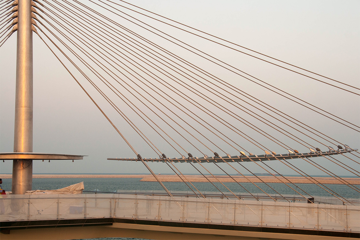 Lusail Pedestrian Bridges in Doha, Qatar, by Safdie Rabines Architects